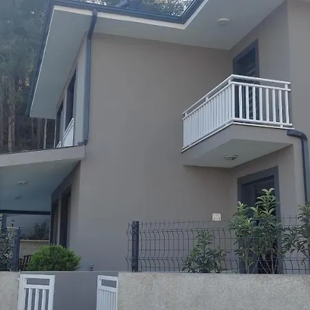 Dream Villa